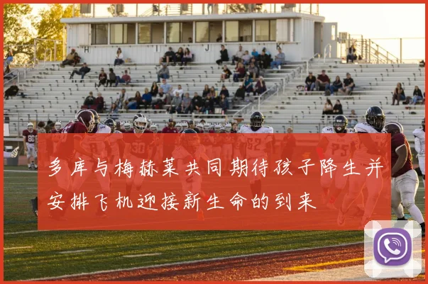 多库与梅赫莱共同期待孩子降生并安排飞机迎接新生命的到来