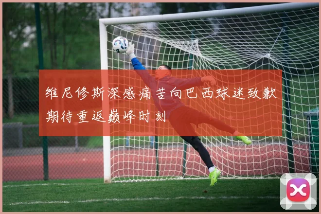 维尼修斯深感痛苦向巴西球迷致歉期待重返巅峰时刻