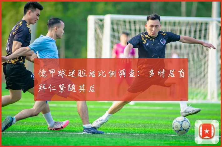 德甲球迷脏话比例调查：多特居首拜仁紧随其后