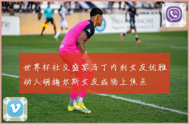 世界杯社交盛宴马丁内利女友优雅动人胡梅尔斯女友成场上焦点